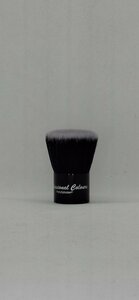 PXP kabuki brush