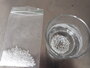 protoplast_